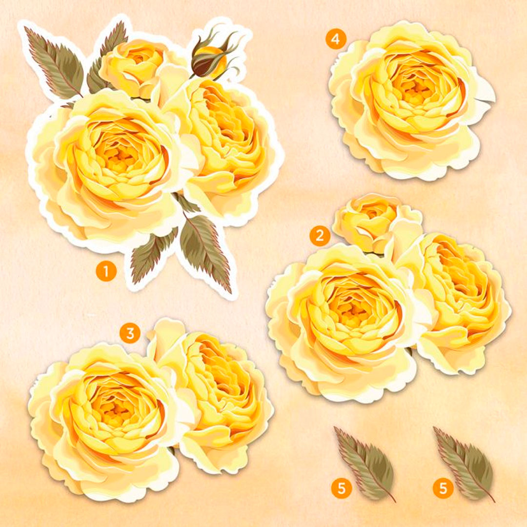 3D paperilehtiö – Roses in Bloom | Lumikellot
