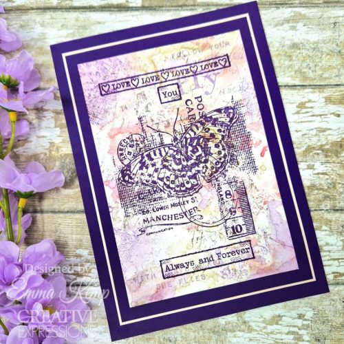 Creative Expressions Clear Stamp – Fly leimasinsetti A6 3