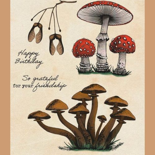 Studio Light Clear Stamp – Everlasting Autumn Mushrooms leimasinsetti (2)