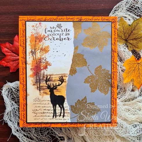 Creative Expressions Clear Stamp – Fall Favourites leimasinsetti