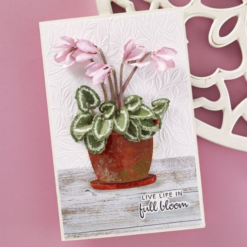 Spellbinders stanssi – CYCLAMEN 1