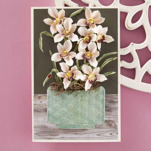 Spellbinders stanssi – CYMBIDIUM ORCHID AND LADYBUGS 1