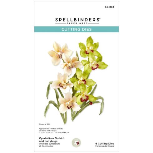 Spellbinders stanssi – CYMBIDIUM ORCHID AND LADYBUGS