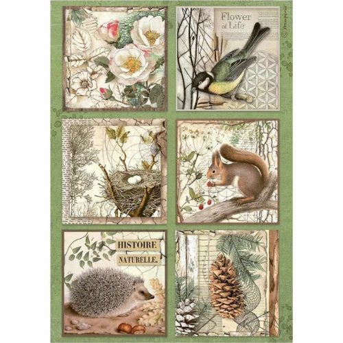 Stamperia riisipaperi – Forest Cards Rice Paper (A4)