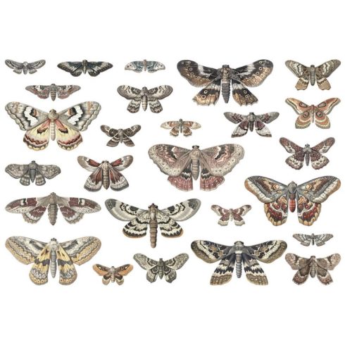 Tim Holtz Idea-Ology Transparent Moths – Yöperhoset (26 kpl)